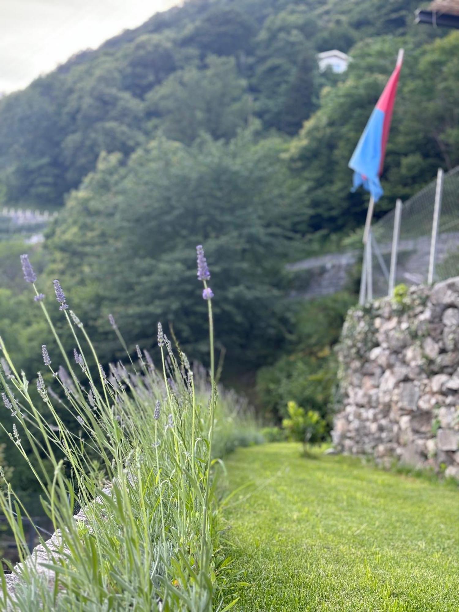 Ca'Gialla Bellinzona Exterior photo